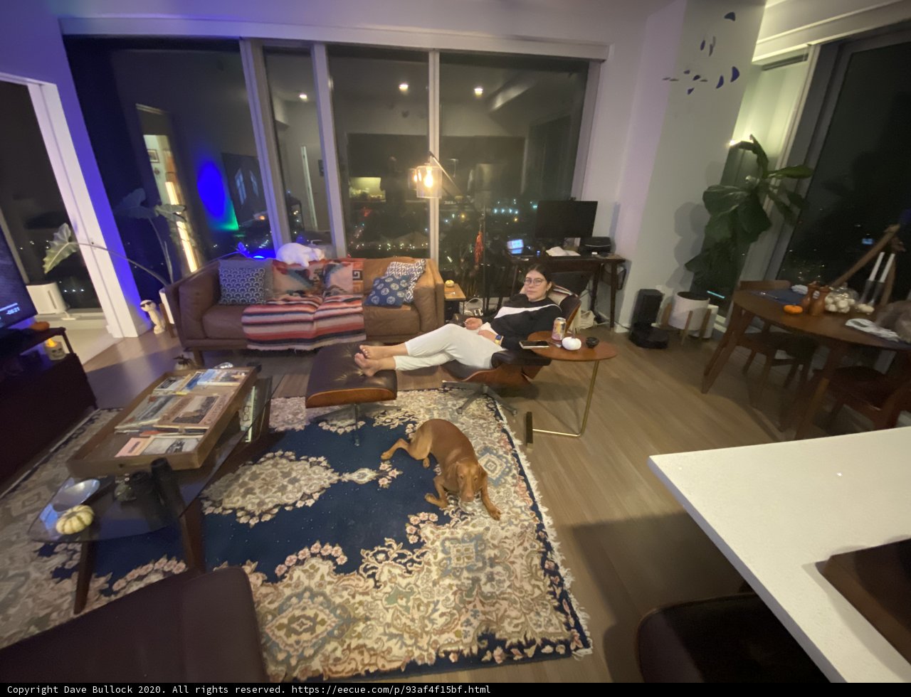 Man and Dog Relaxing in San Francisco Living Room