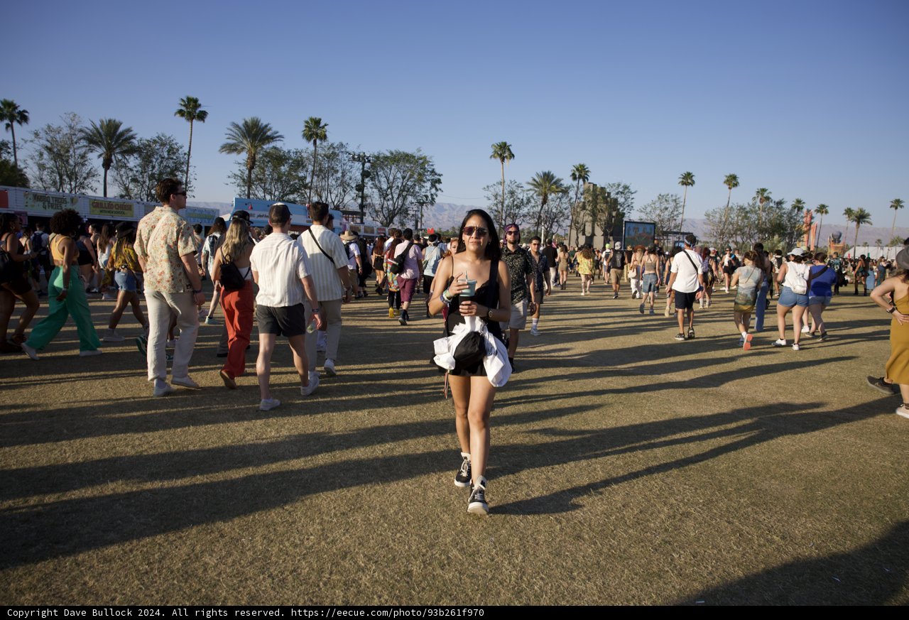 Vibrant Moments at Coachella 2024