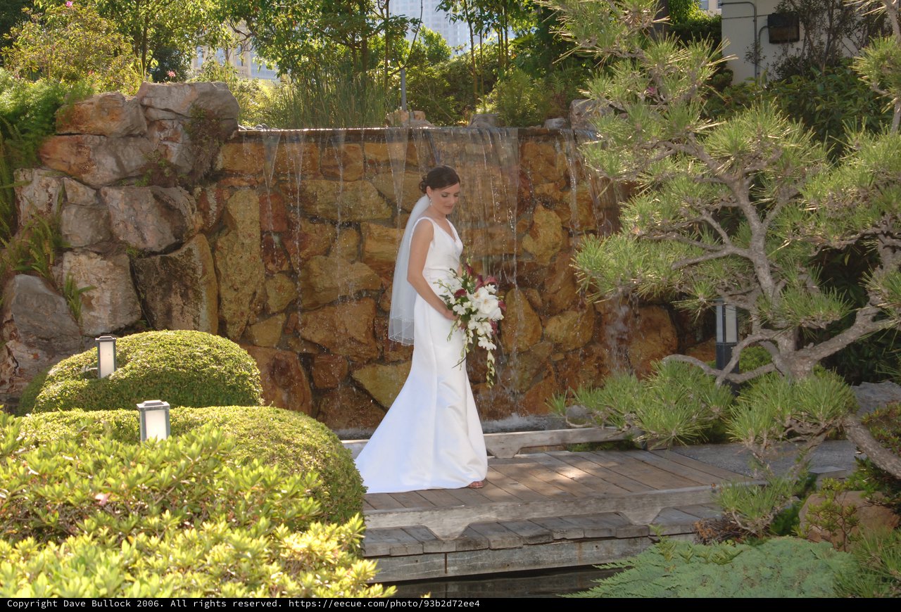 Bride Poses Before Cascading Waterfall in Japanese Garden