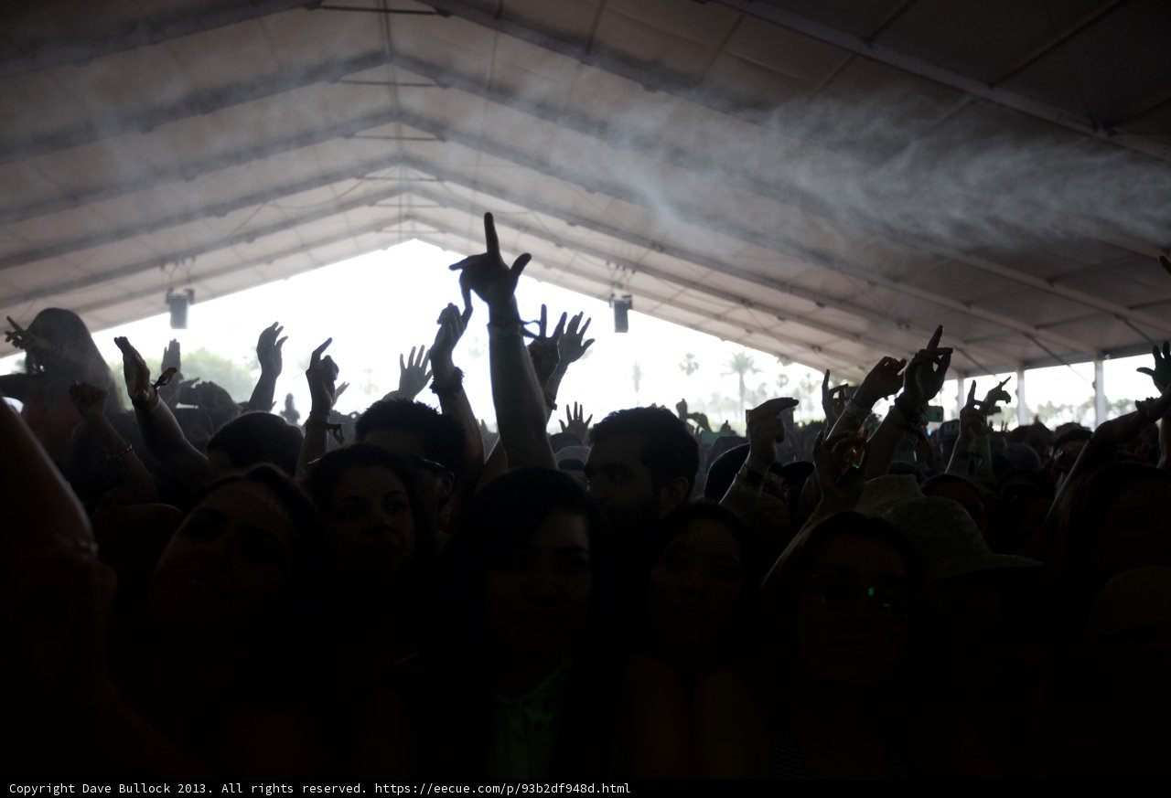Concertgoers Go Wild