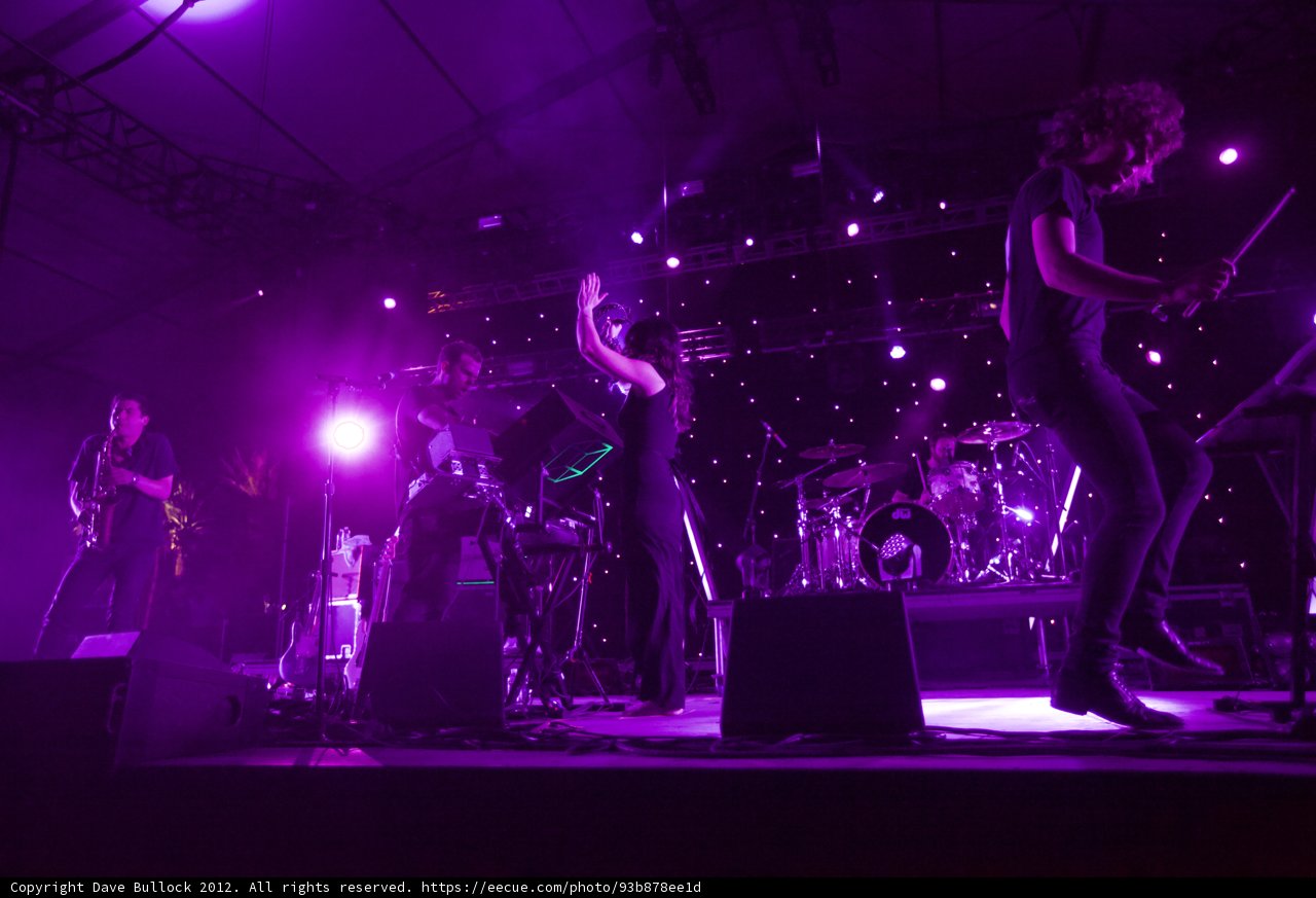 The Purple Performance