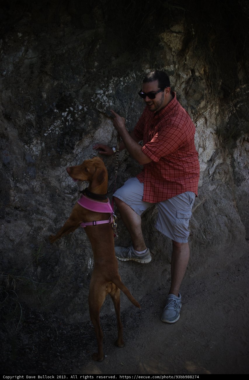 Frisbee Fun with Man and Canine