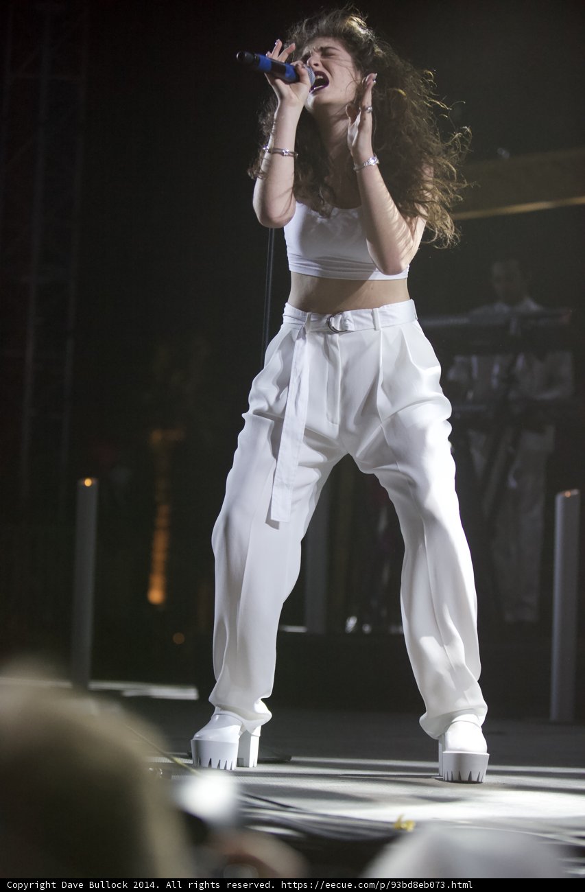 Solo Performance