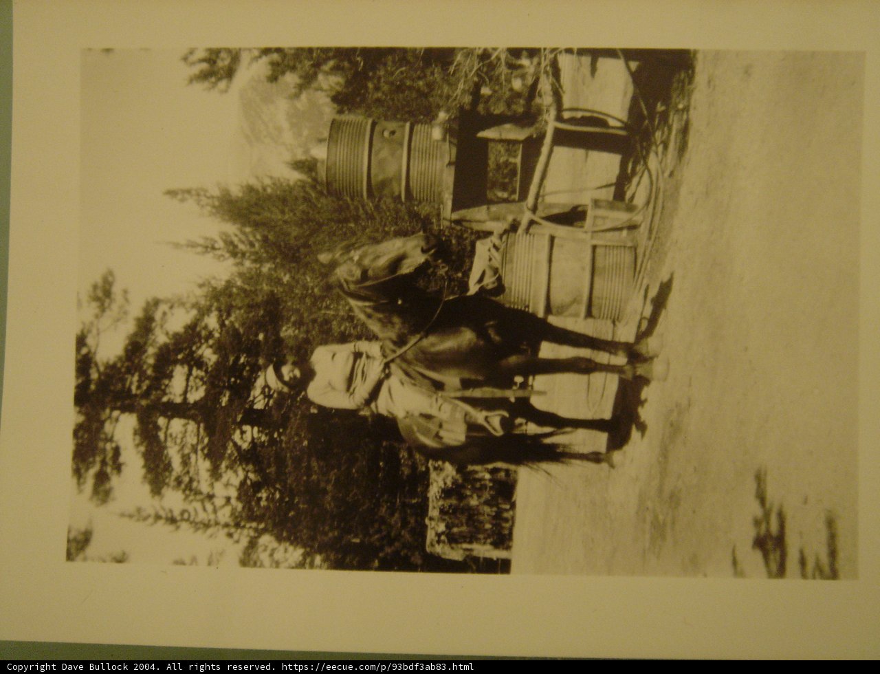 Equestrian Cart Ride