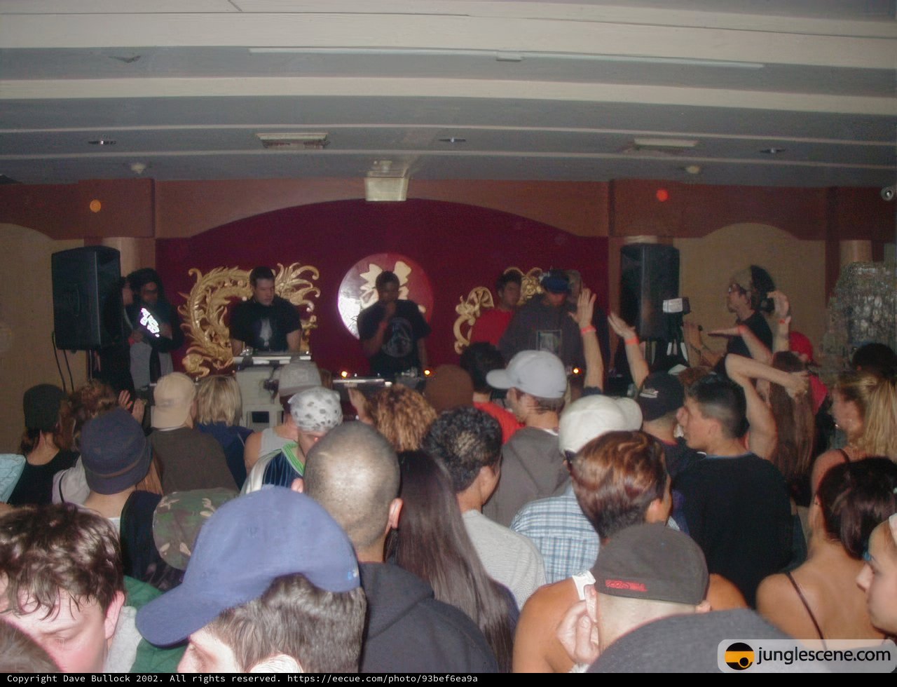 Nightclub Party with DJ and Crowd