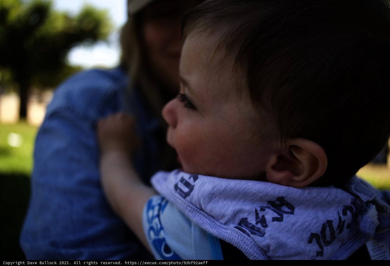 Tender Moments in Natural Splendor