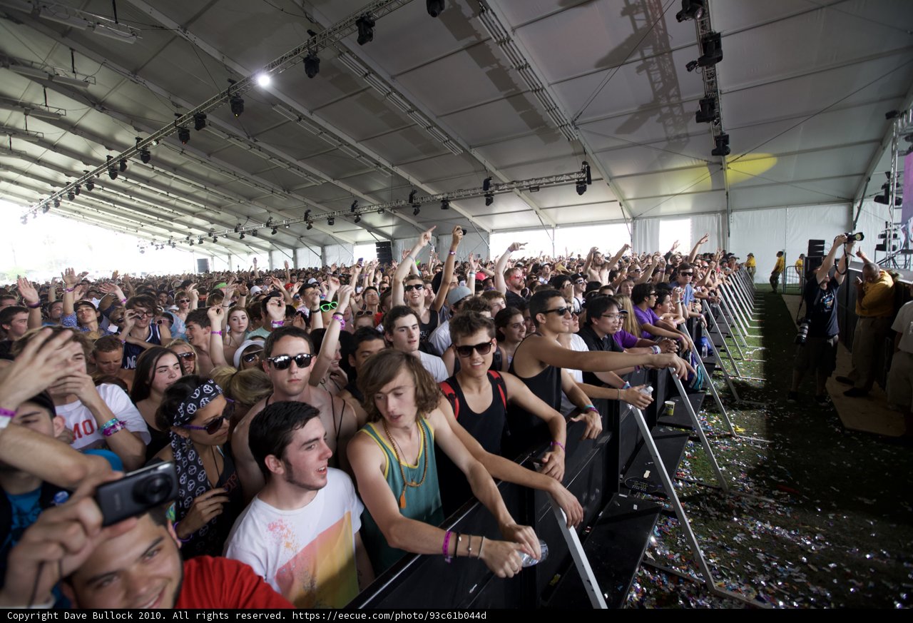 The Electric Crowd at Coachella