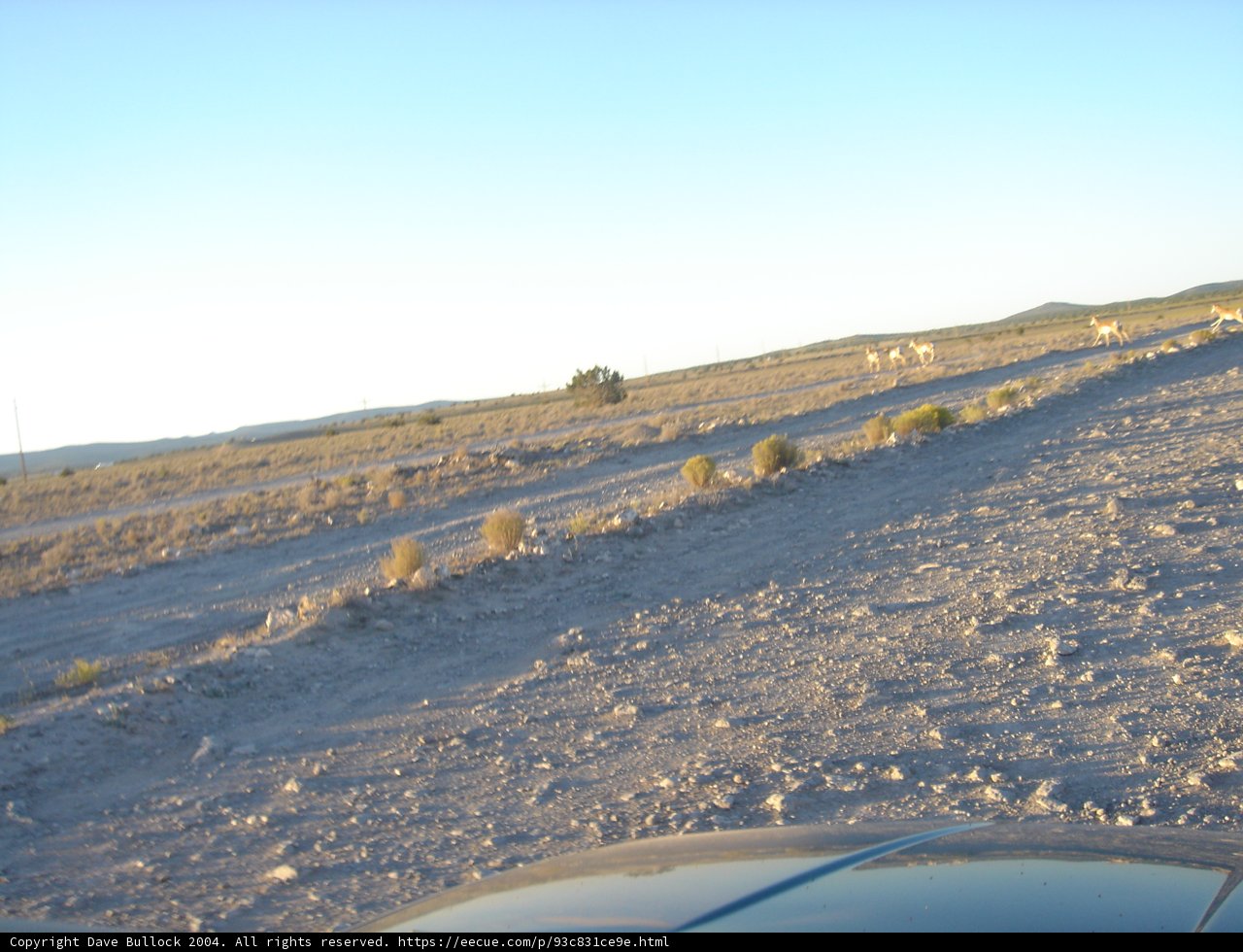 Off-Roading Adventure