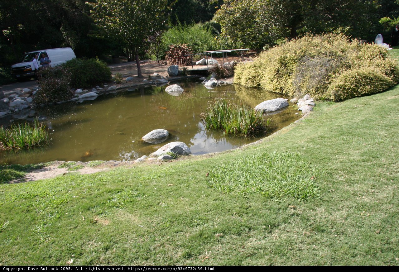 Serenity at the Pond