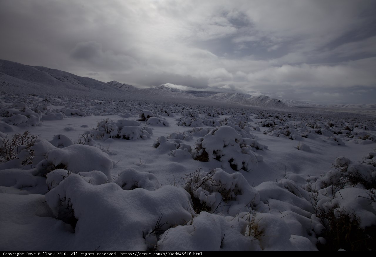 Winter Wonderland in the Desert