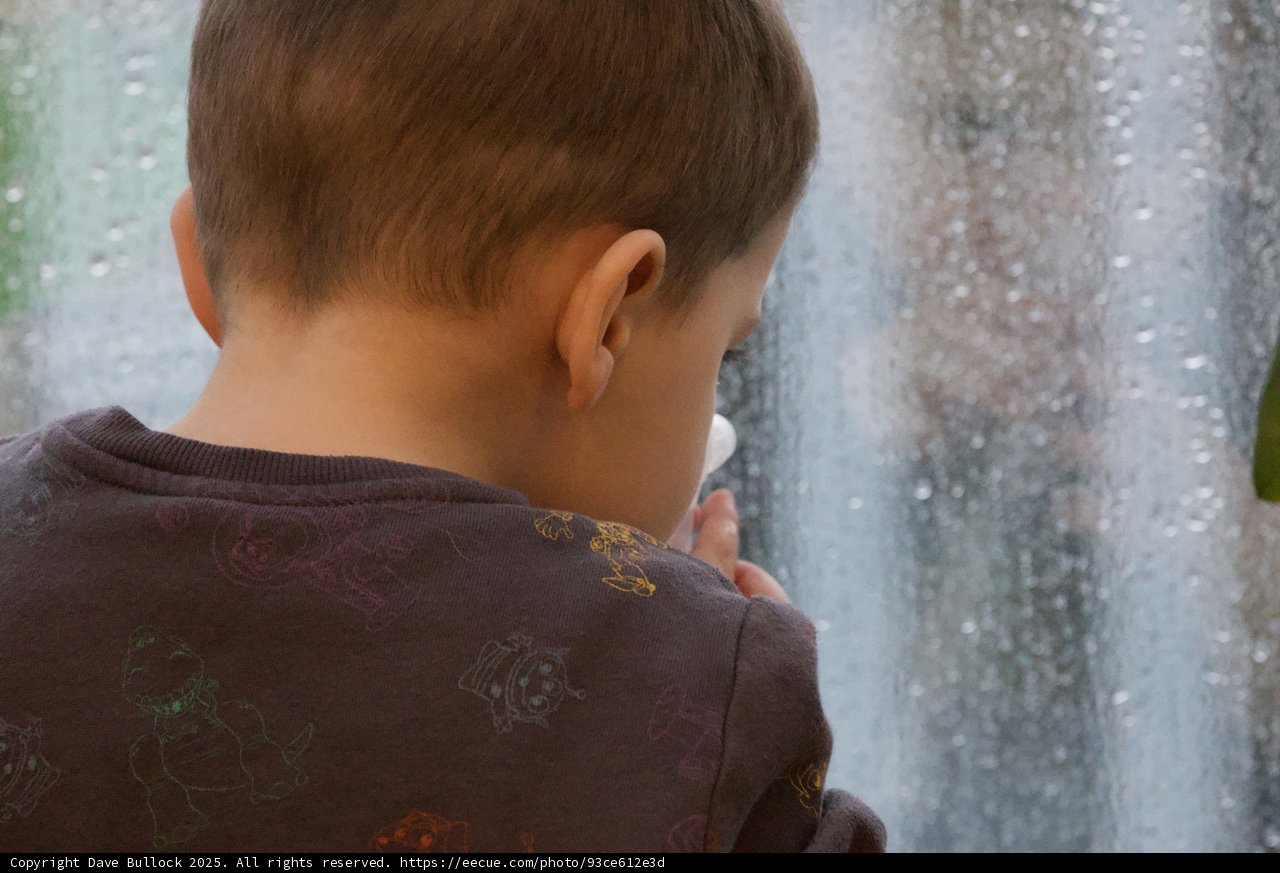 Quiet Contemplation by the Fountain