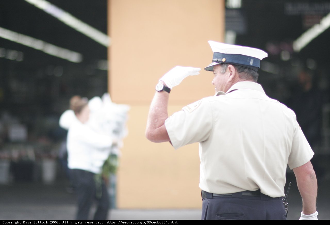 A Captain's Salute