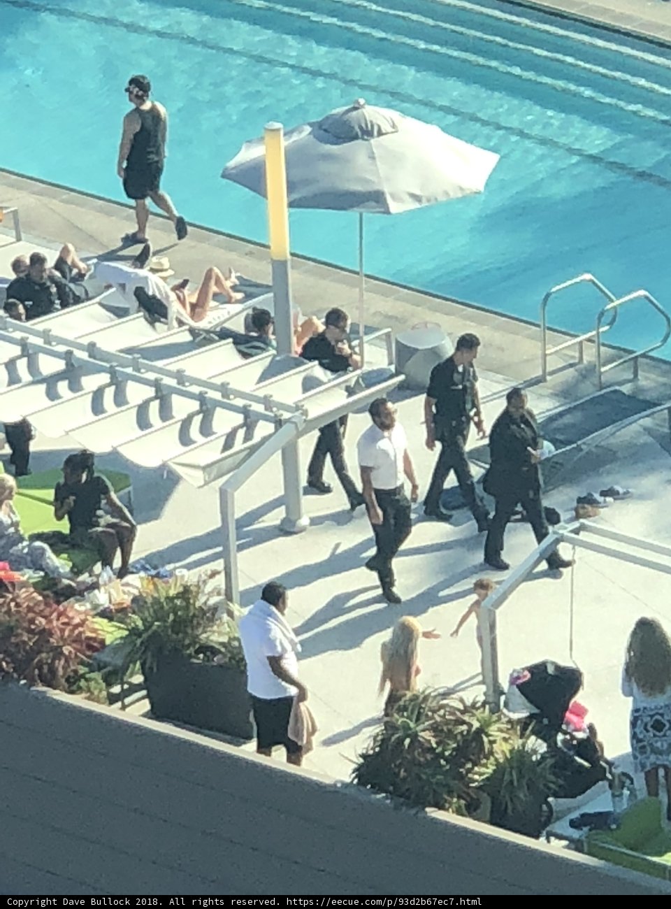 Poolside Gathering