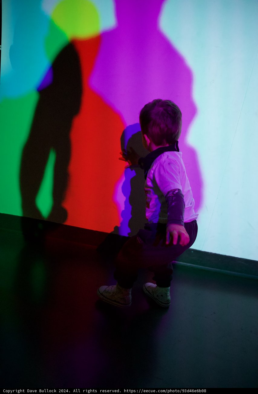 Exploratorium Escapades with Wesley, 2024