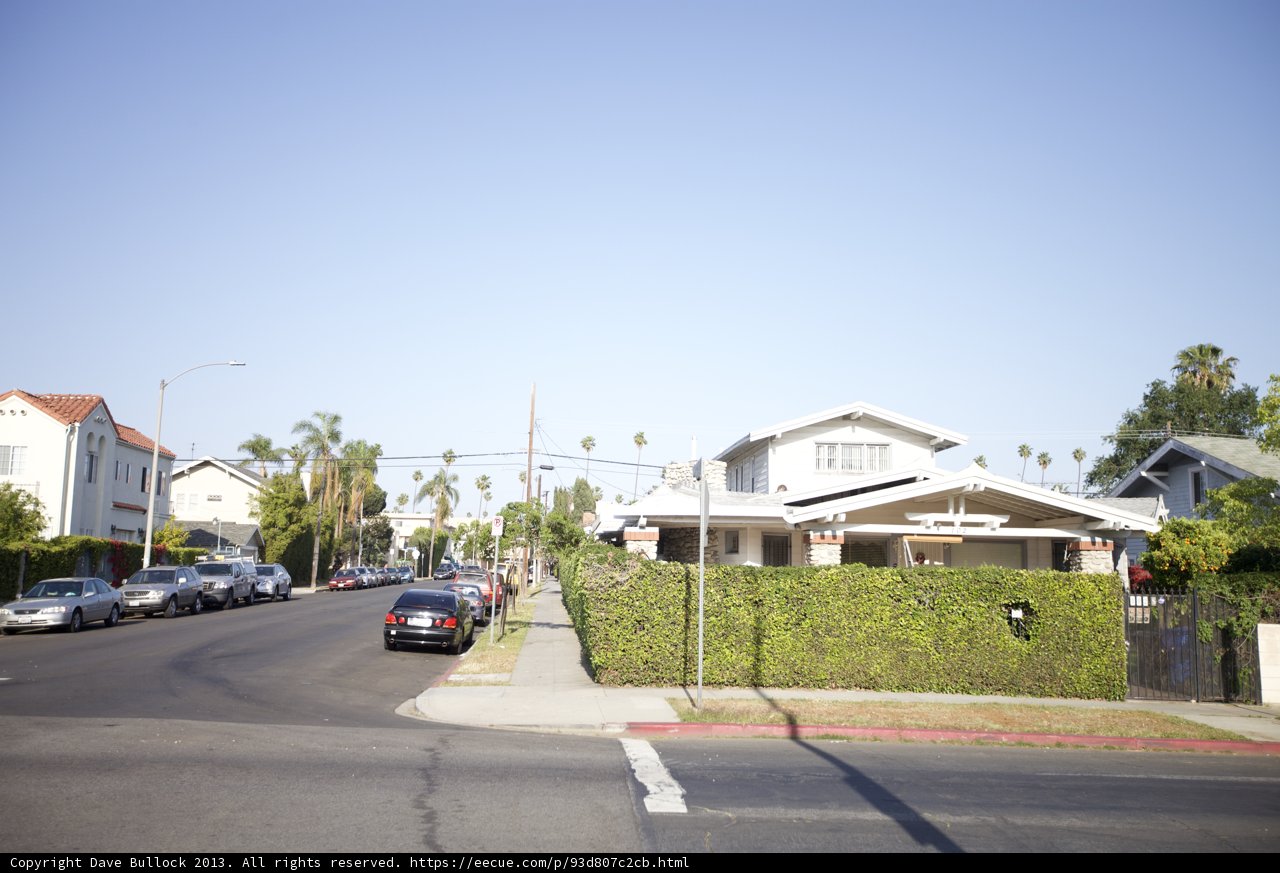 Neighborhood Street Scene