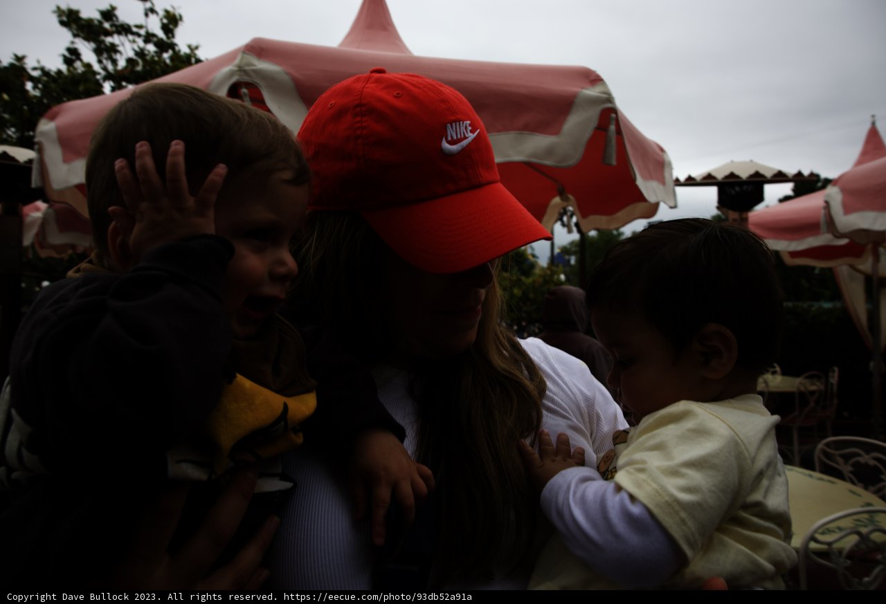 Cherished Moments at Disneyland