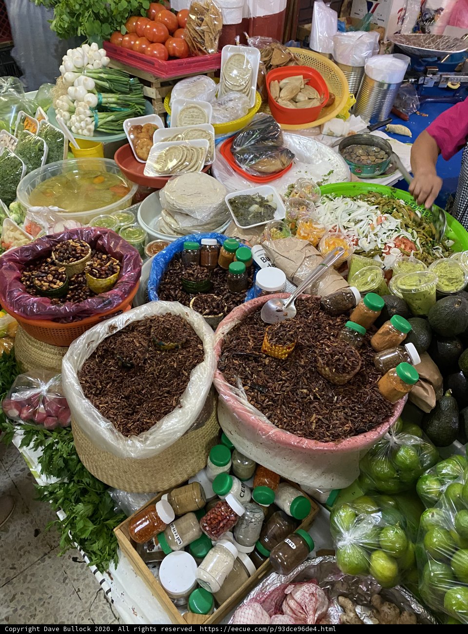 A Feast for the Senses
