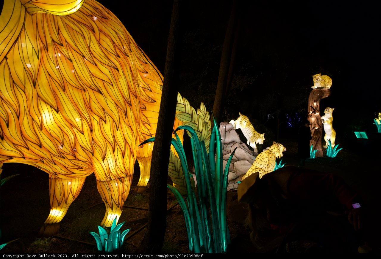 Glowing Beast Under the Night Sky - Oakland Zoo Glowfari 2023