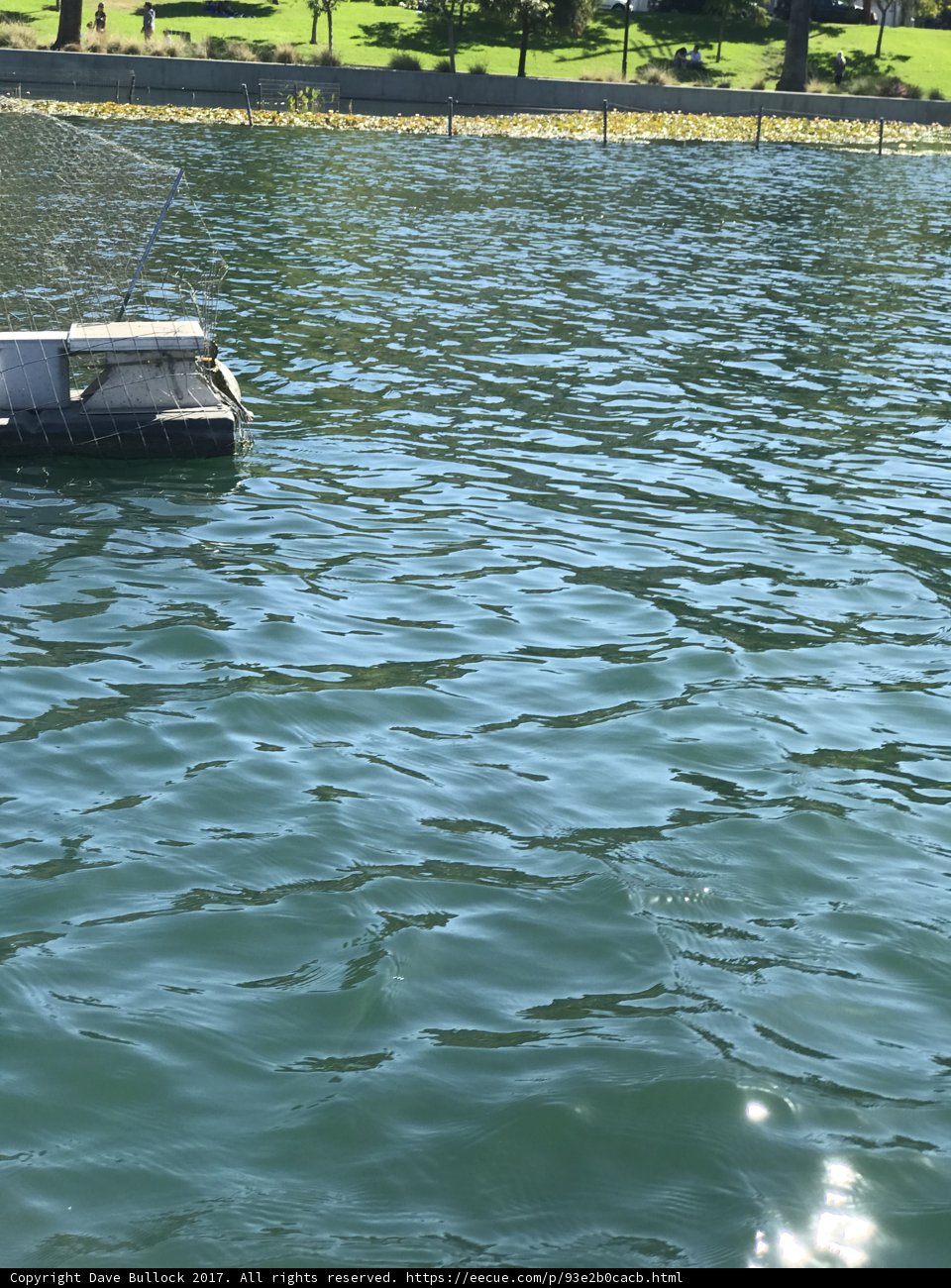 Day on the Water