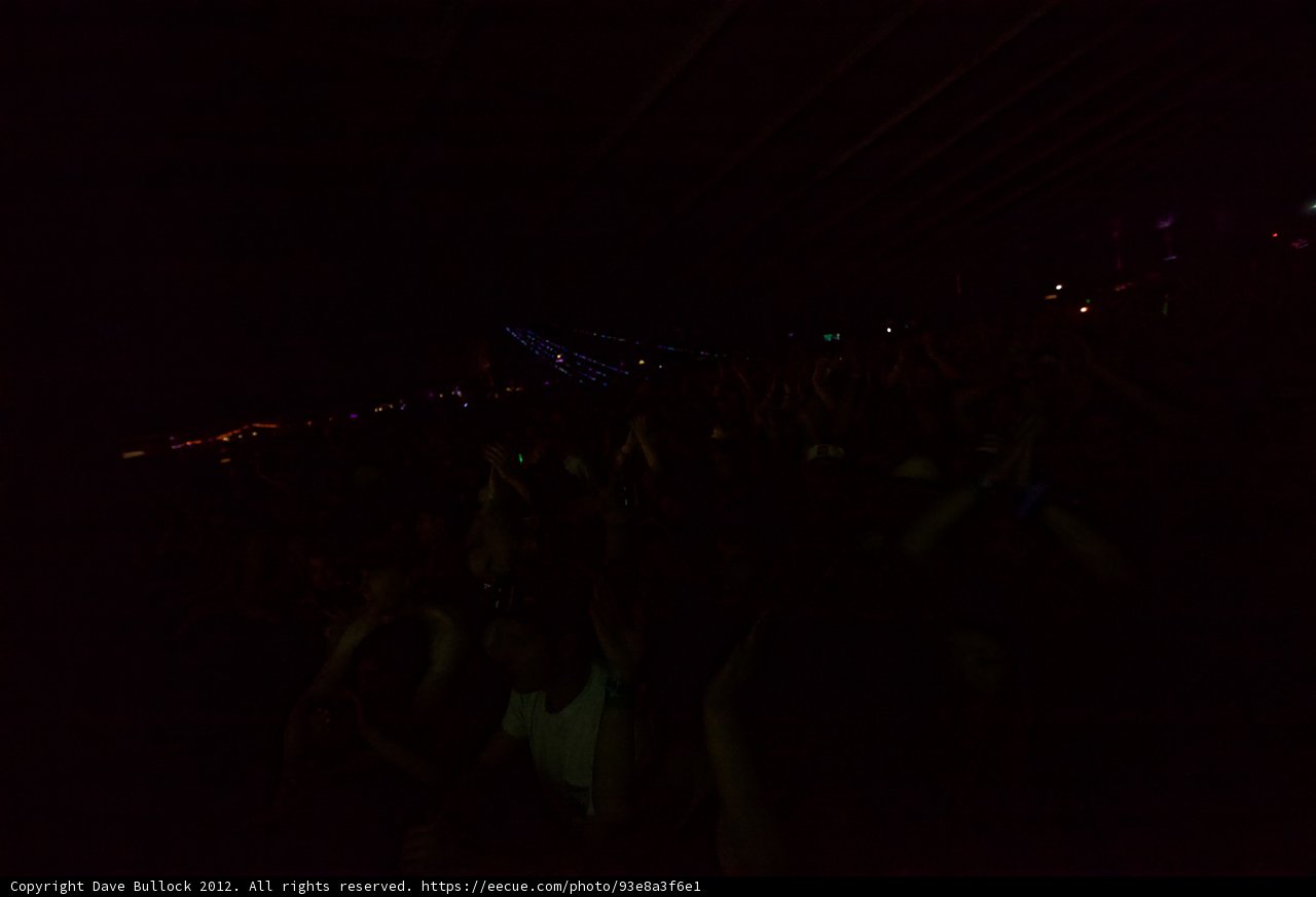 Rocking the Night Away at Coachella
