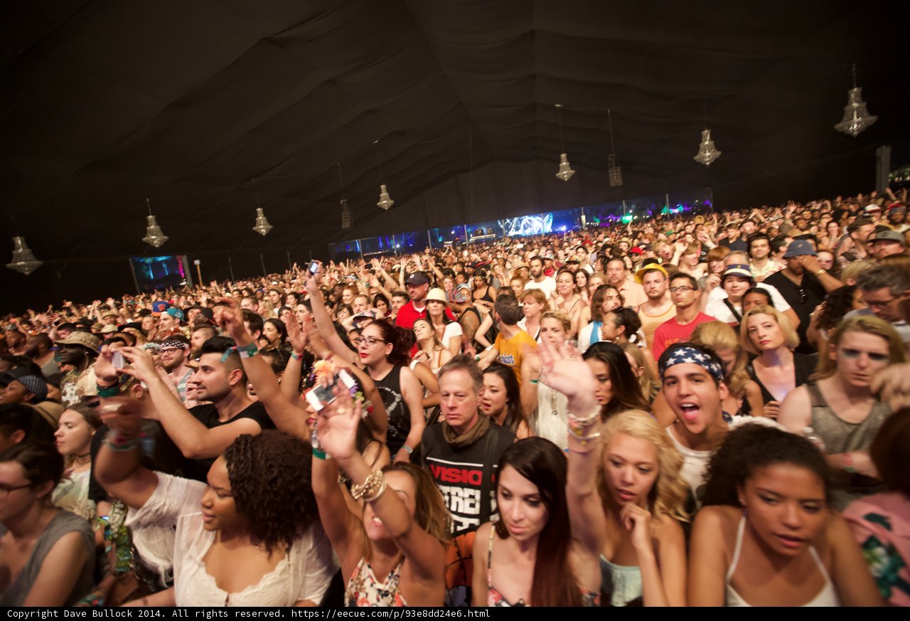 Festival Fever