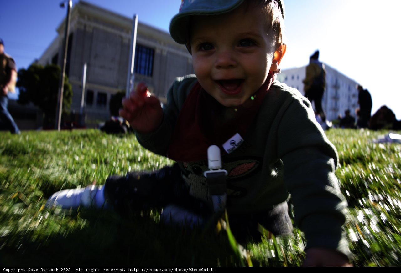 Wesley's First Day at Alamo Square