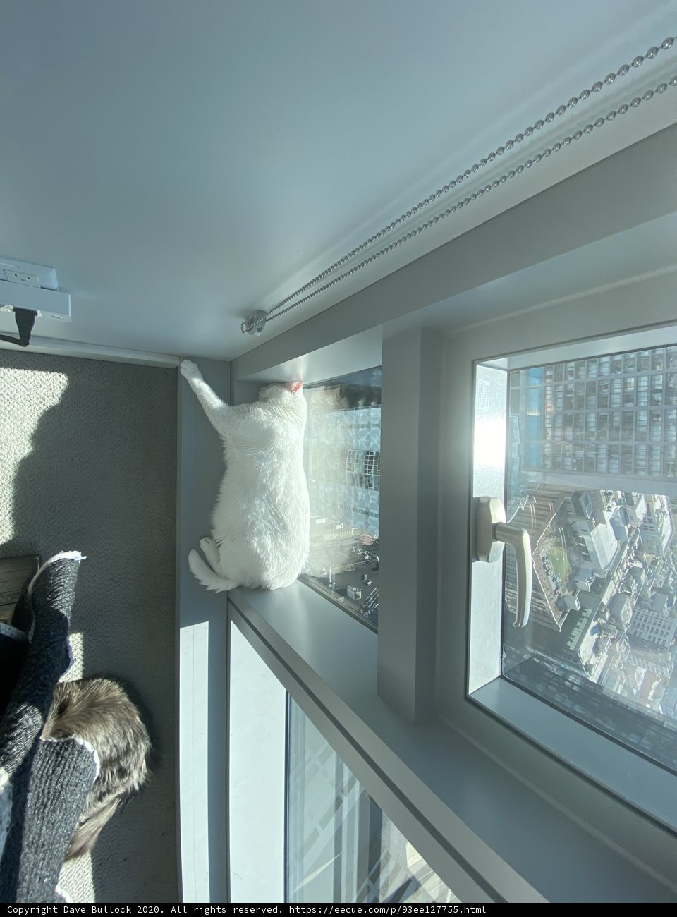 Window Watcher
