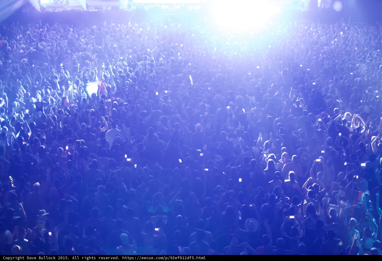 Electric Nightlife at Coachella