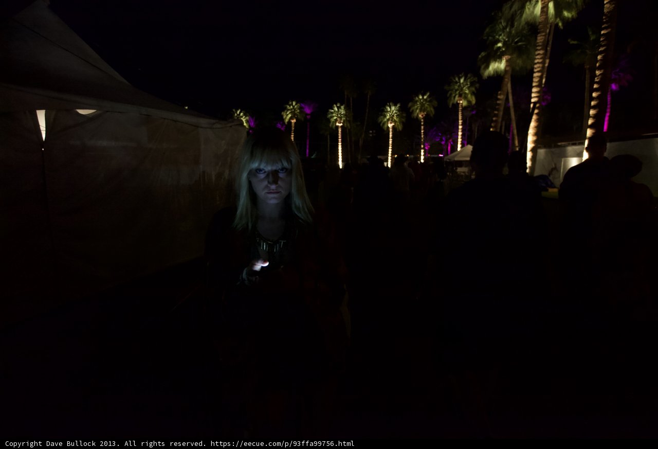 Nighttime Oasis