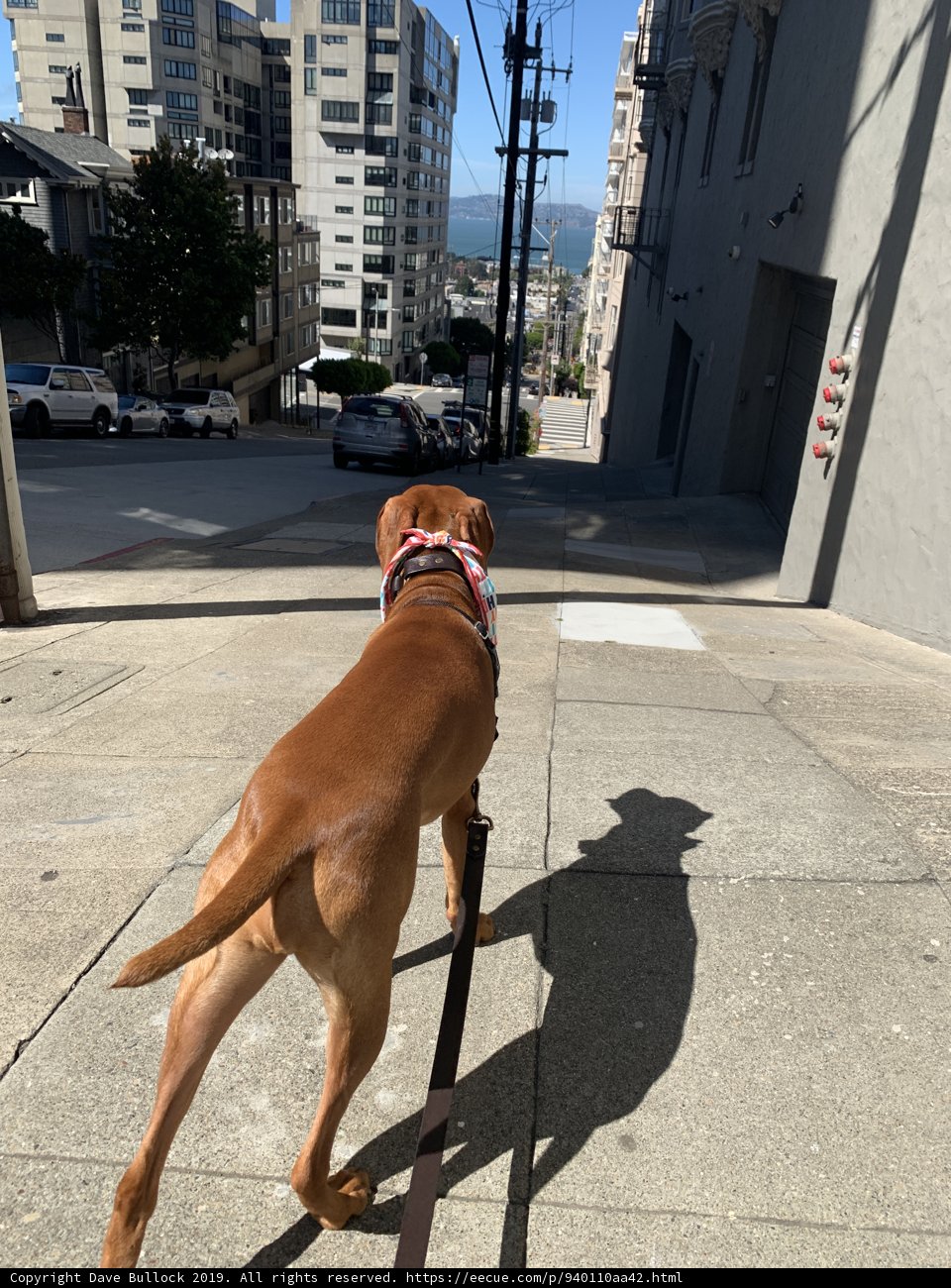 Taking a Stroll in the City