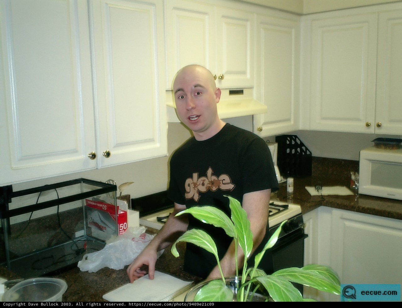 Kitchen Portrait
