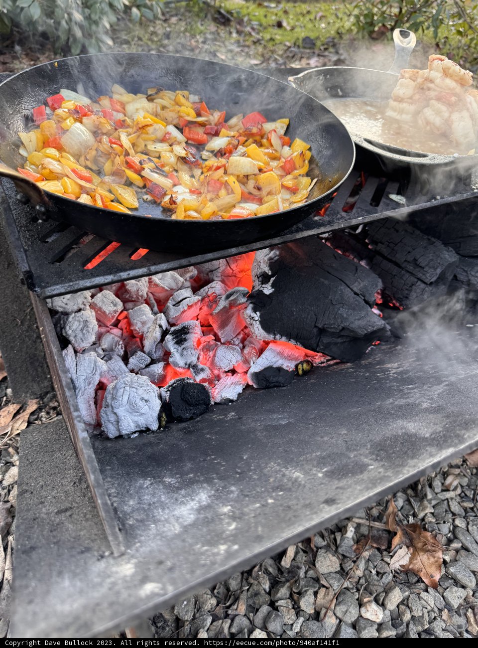 Sizzling Magic on the Grill