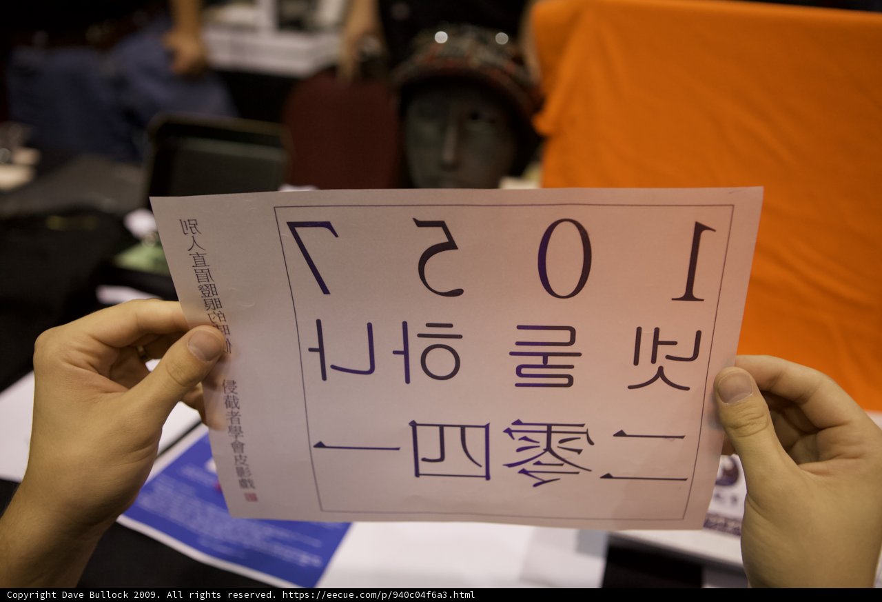 Chinese Sign Protesters