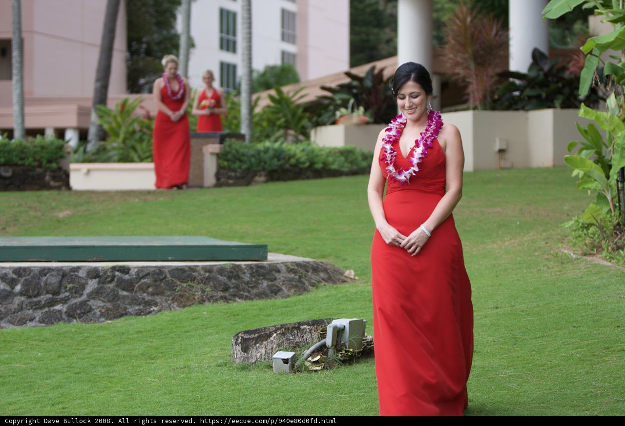 Red Dress in the Hawaiian Garden