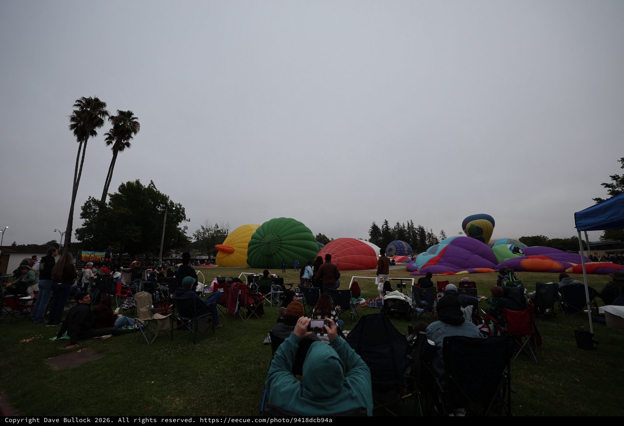 Hot Air Balloons Inflating at Dawn Balloon Festival