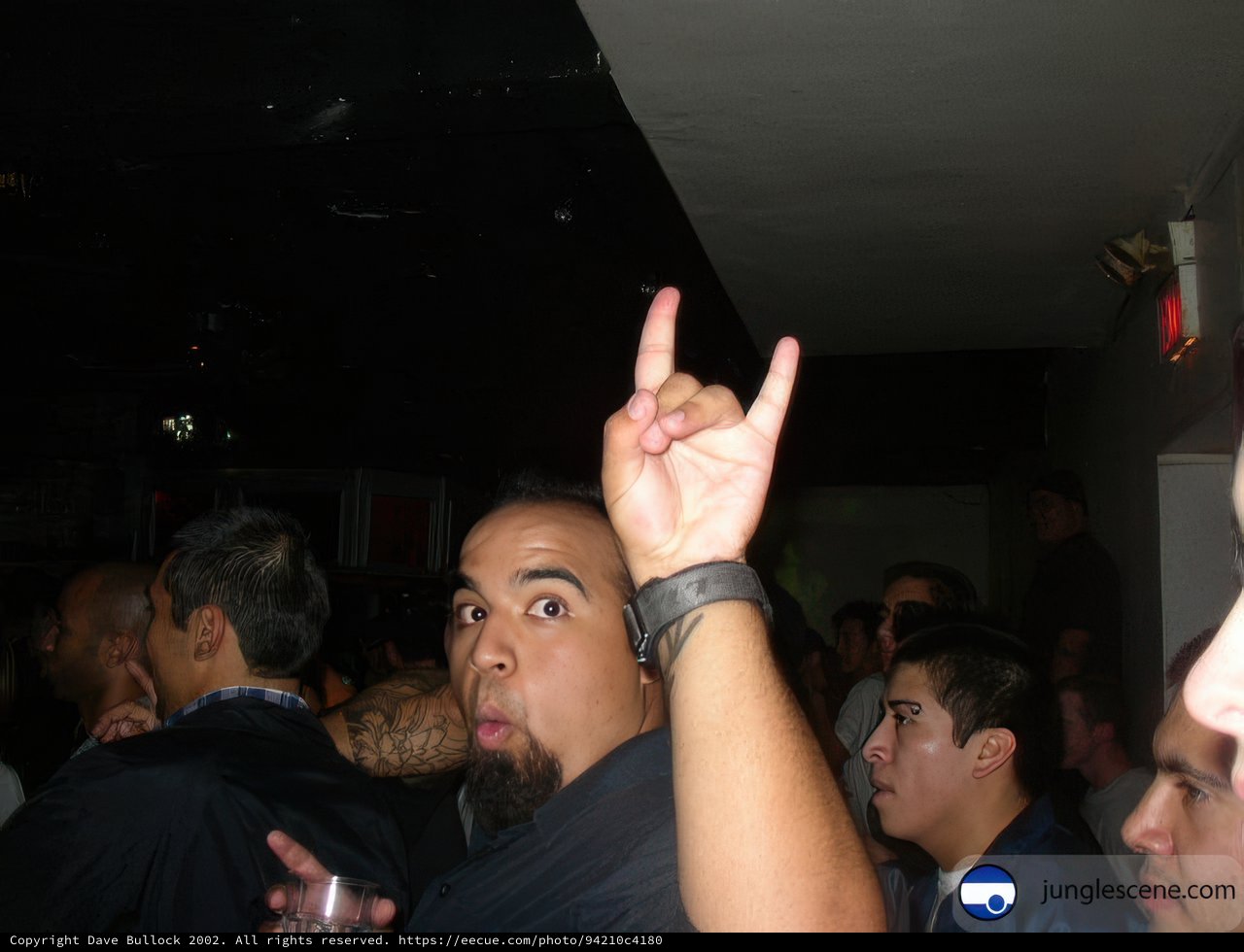 Hand in the Air
