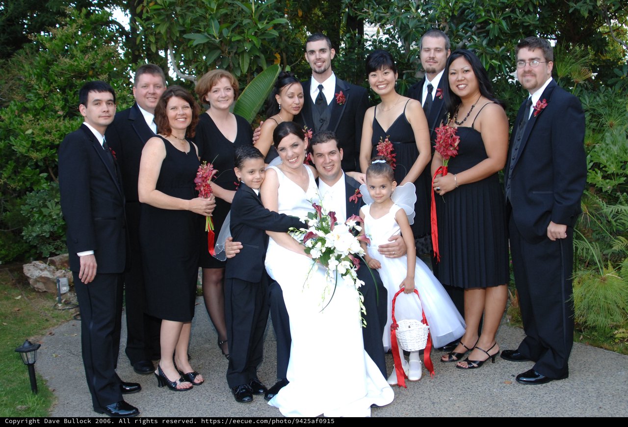 Joyful Wedding Party Portrait Outdoors in Summer