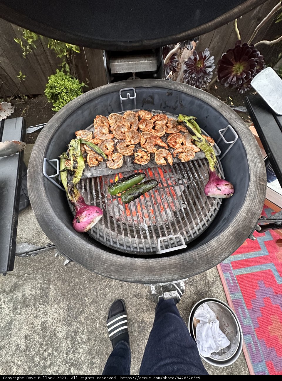 BBQ Connoisseur in Action