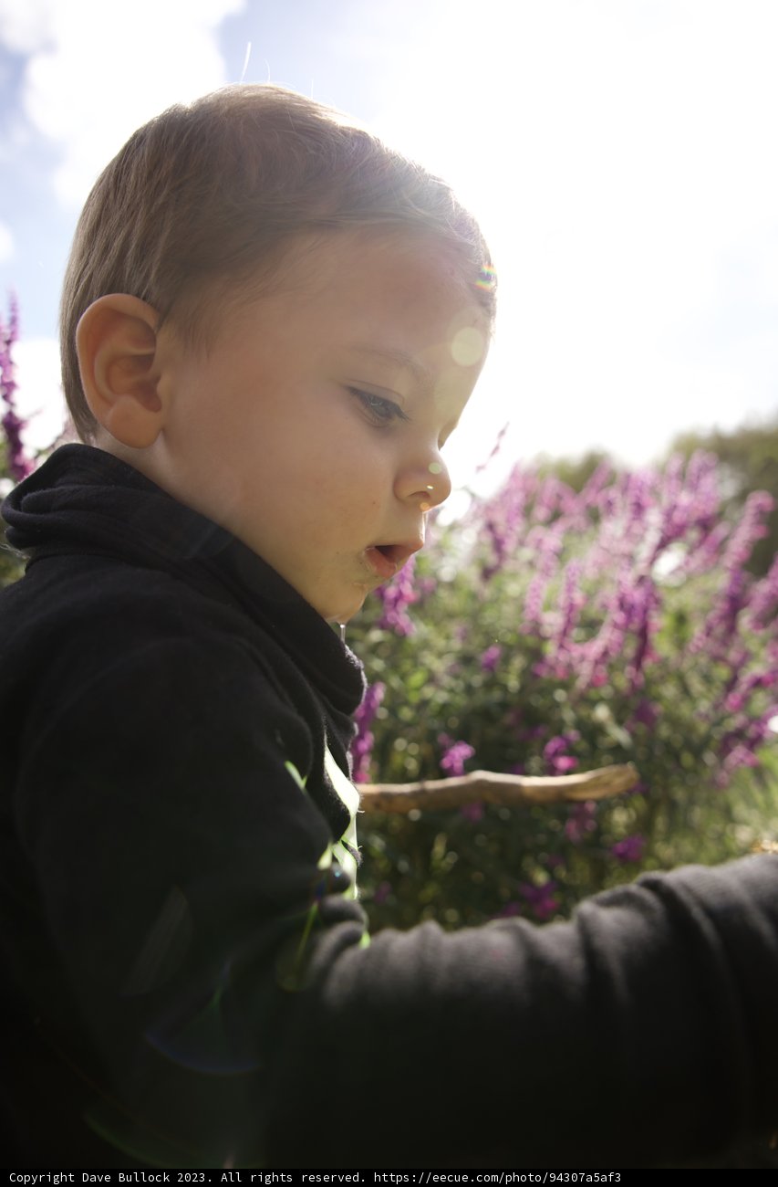 Exploring Nature's Treasures