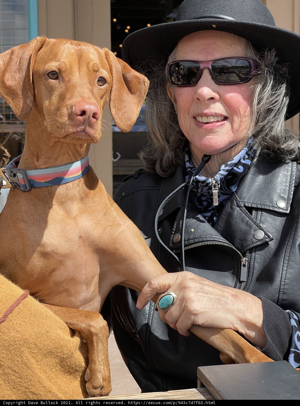 Sunny Santa Fe Stroll With My Pup