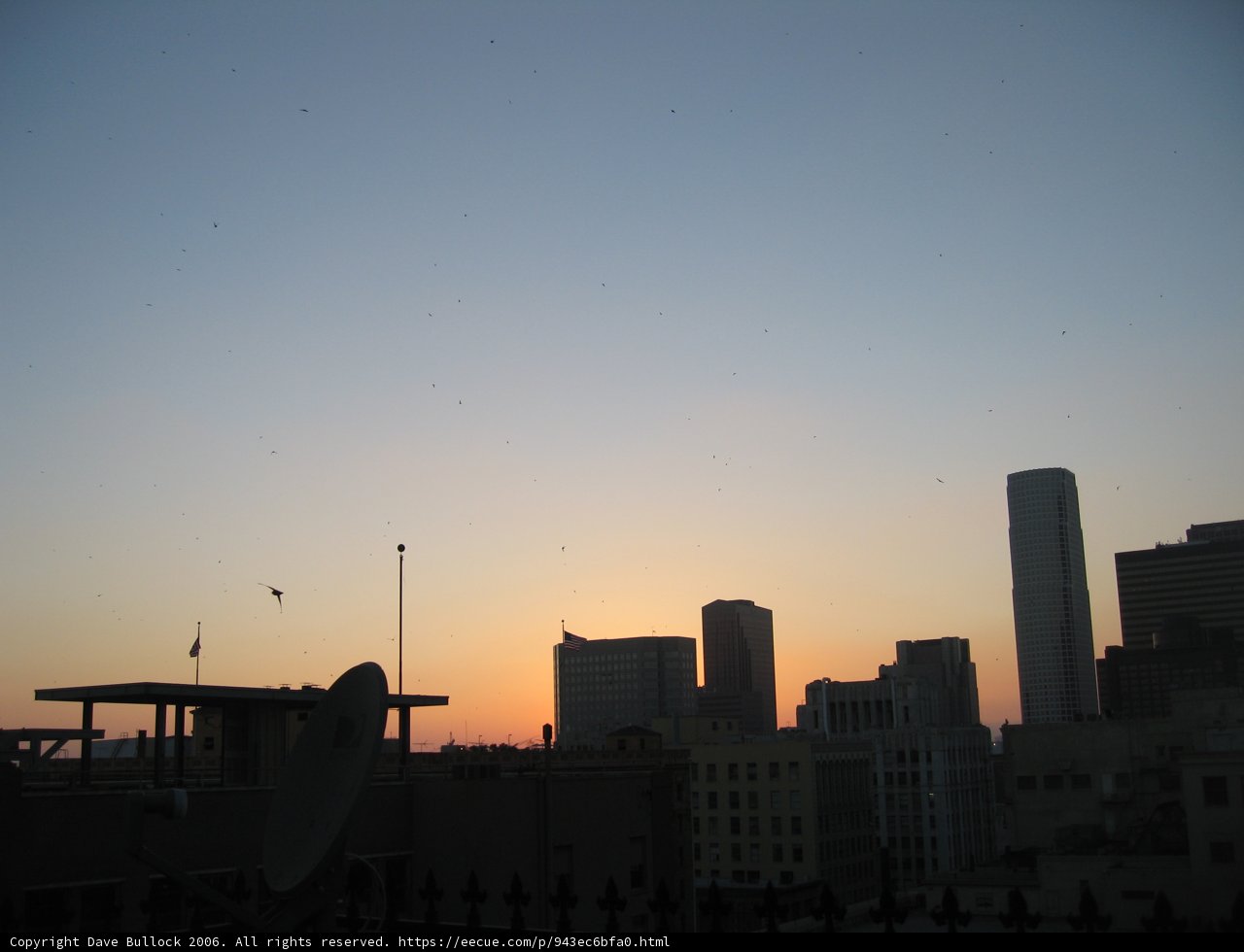 Metropolis Sunset