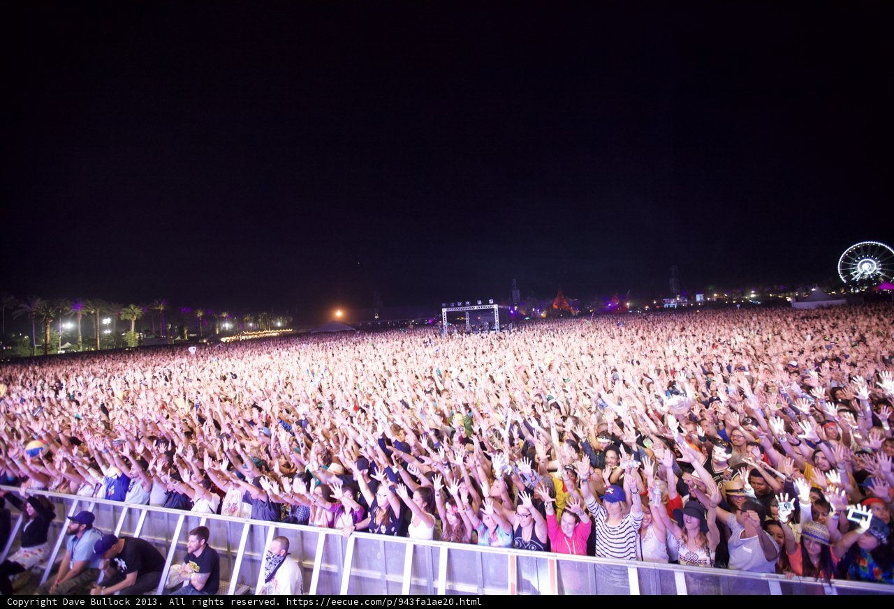 Festival Fever