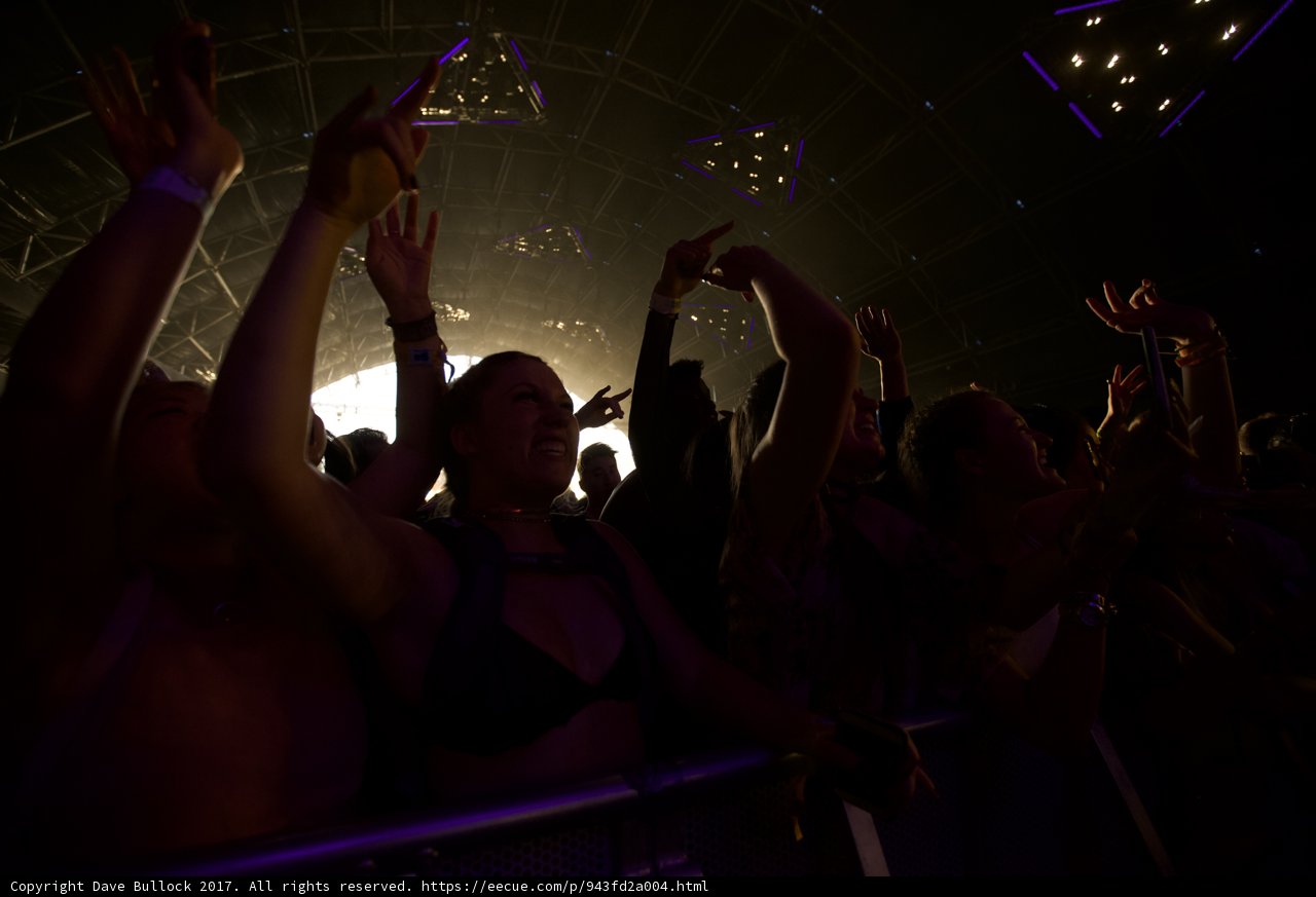 Hands Up in the Crowd