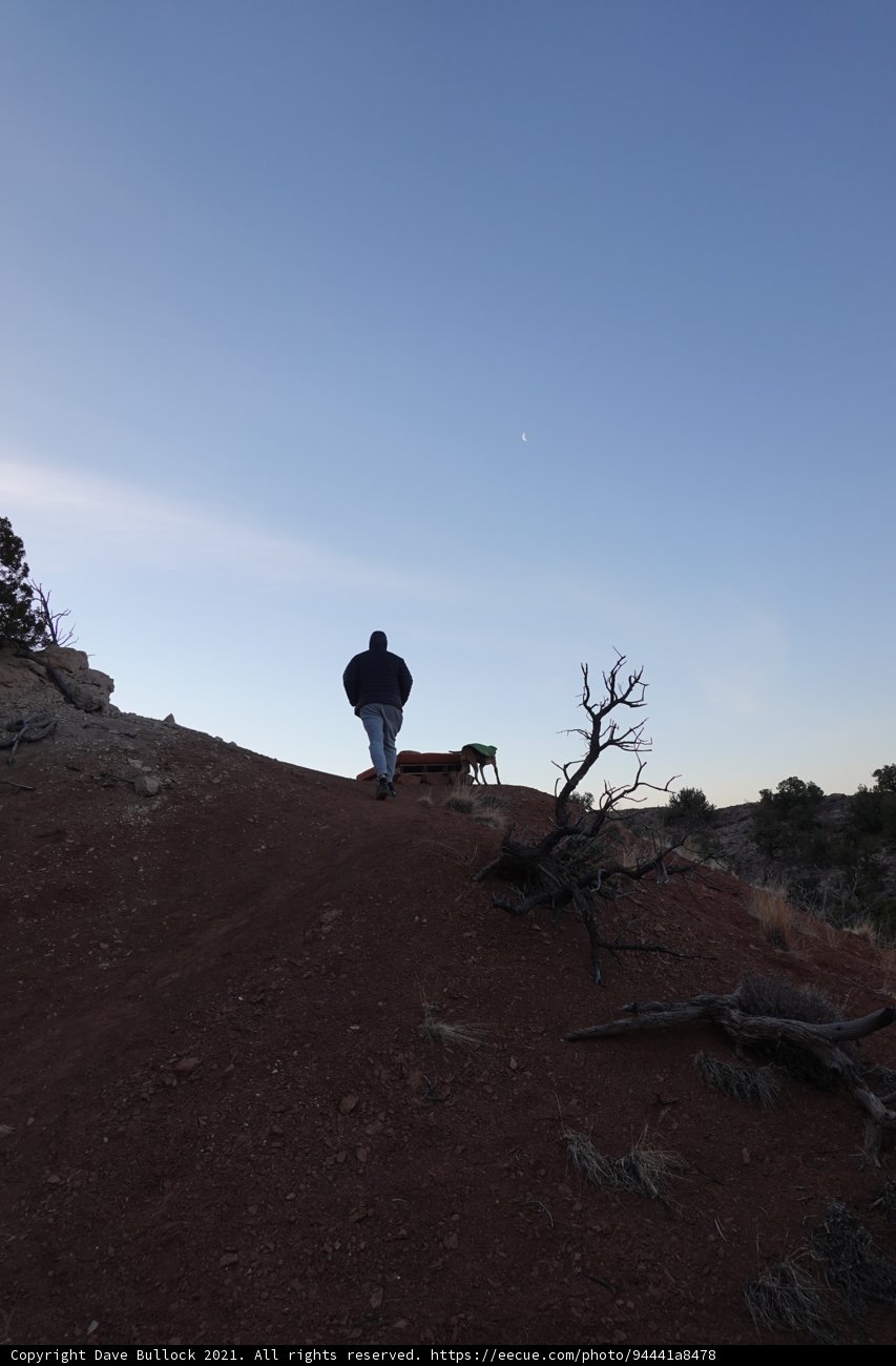 Ascending the Sandia Hike with a Loyal Companion