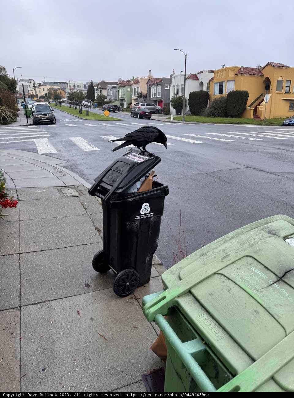 Urban Snapshot: December 2023