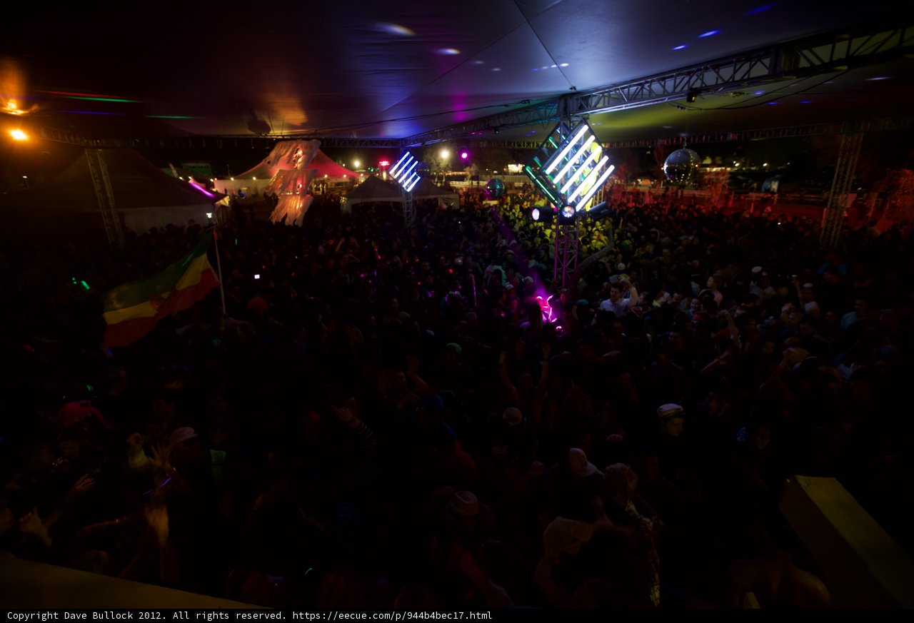 Nightlife Spotlight