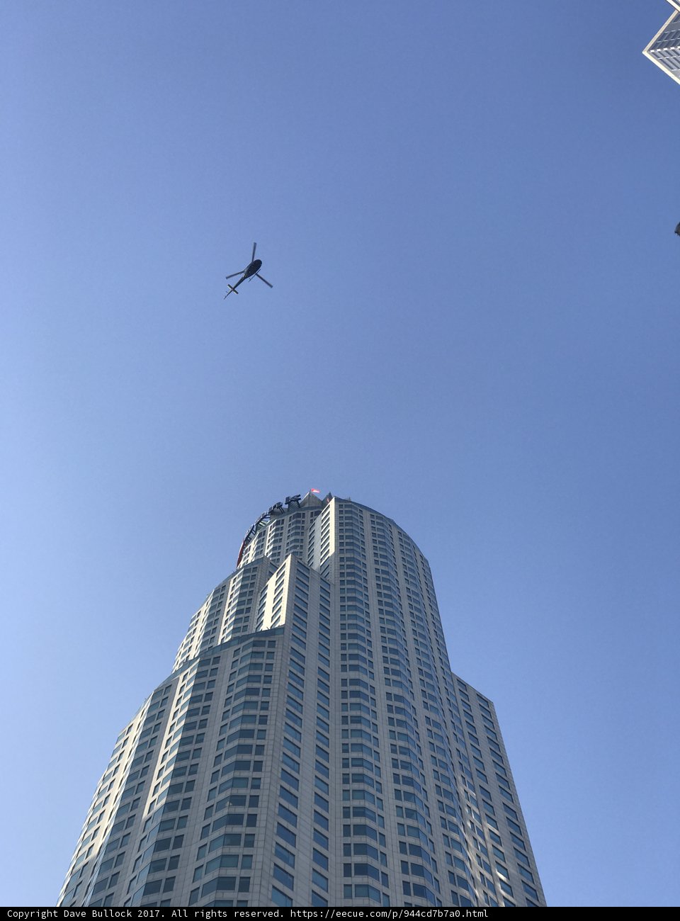 Flying High in the City