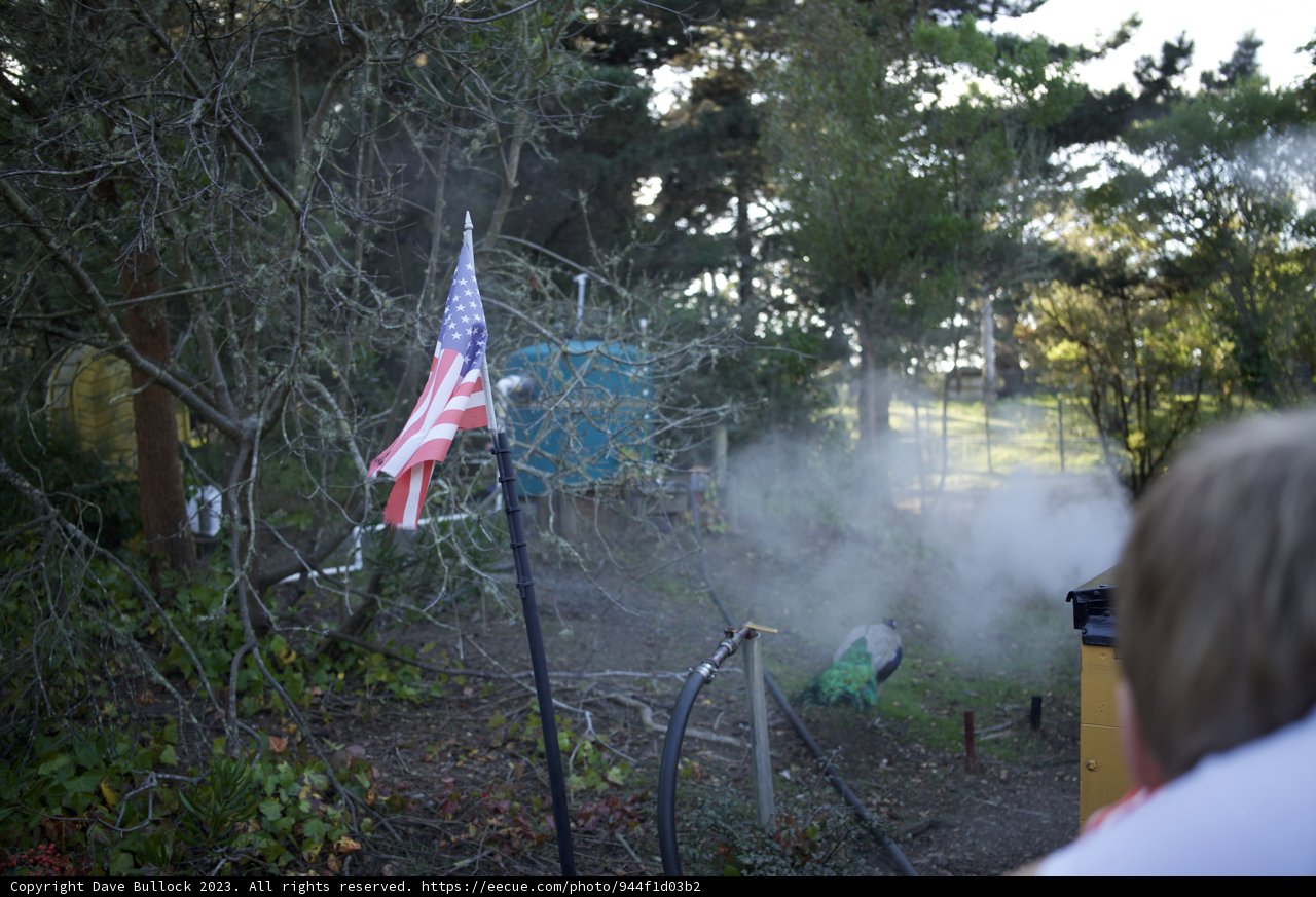 Patriotic Solitude