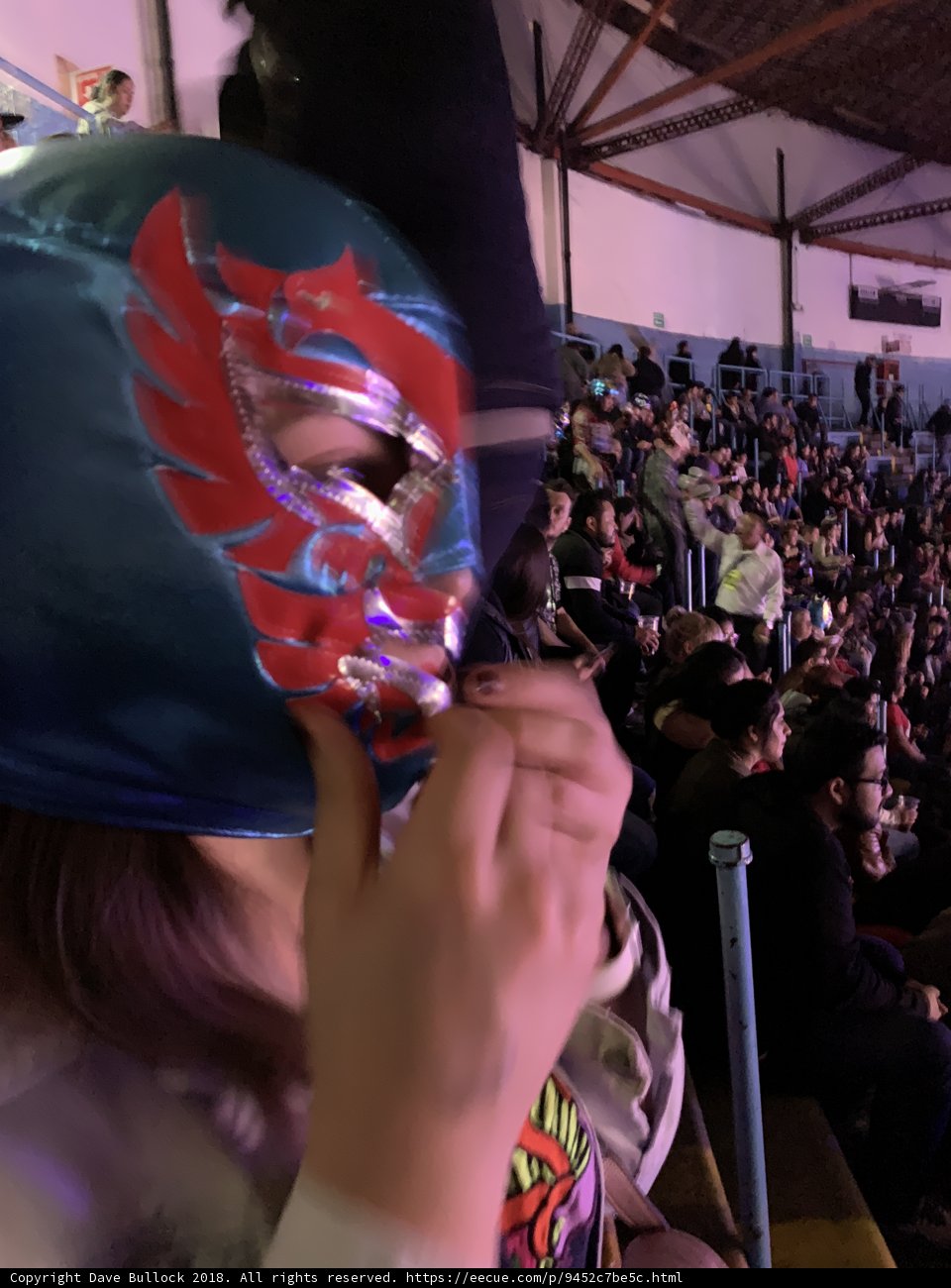 Masked Woman Takes on the Wrestling World