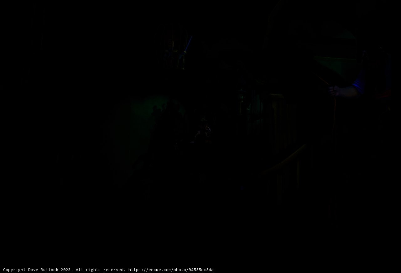 Mysterious Encounter at Disneyland